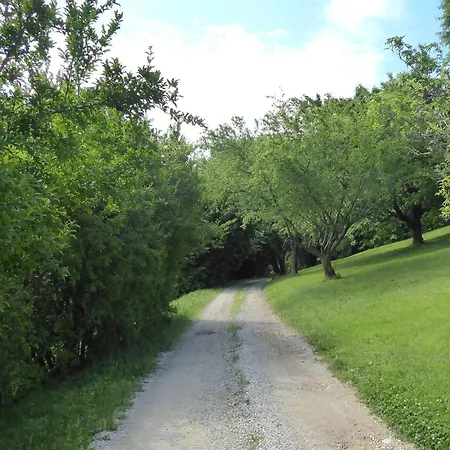 Дом отдыха Asolo Hills *