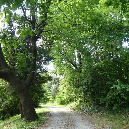 Asolo Hills 몬테벨루나